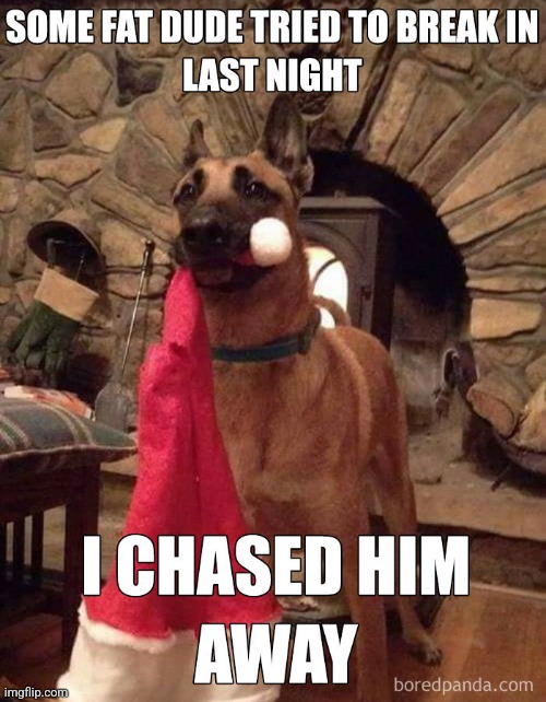 Christmas dog | image tagged in dark humor,funny,meme,santa,christmas | made w/ Imgflip meme maker