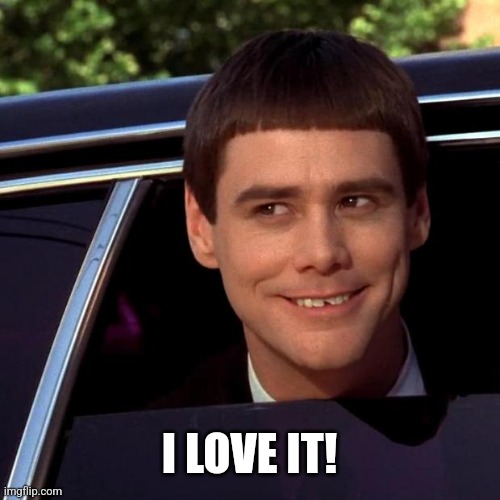 Dumb and Dumber | I LOVE IT! | image tagged in dumb and dumber | made w/ Imgflip meme maker