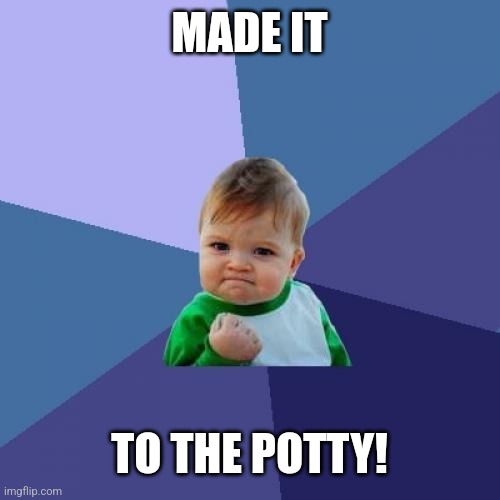 Success Kid Meme | MADE IT TO THE POTTY! | image tagged in memes,success kid | made w/ Imgflip meme maker