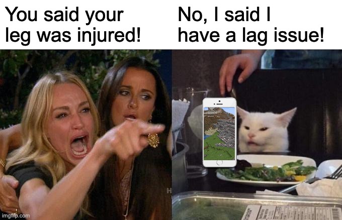 Woman Yelling At Cat | You said your leg was injured! No, I said I have a lag issue! | image tagged in memes,woman yelling at cat,minecraft | made w/ Imgflip meme maker