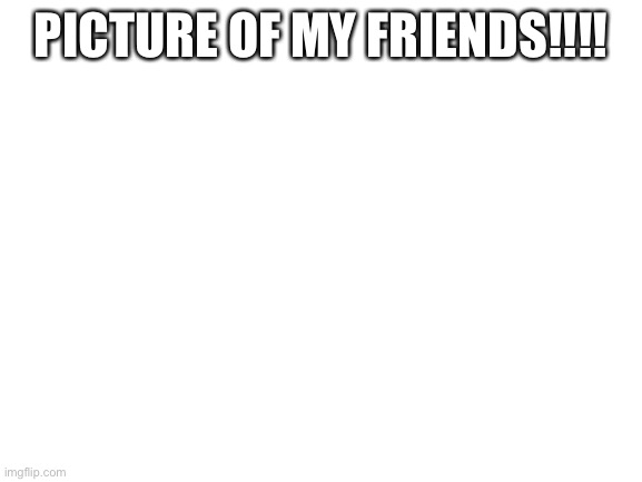 Good fun times | PICTURE OF MY FRIENDS!!!! | image tagged in blank white template | made w/ Imgflip meme maker