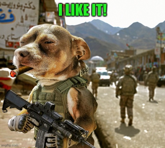 Army Dog | I LIKE IT! | image tagged in army dog | made w/ Imgflip meme maker