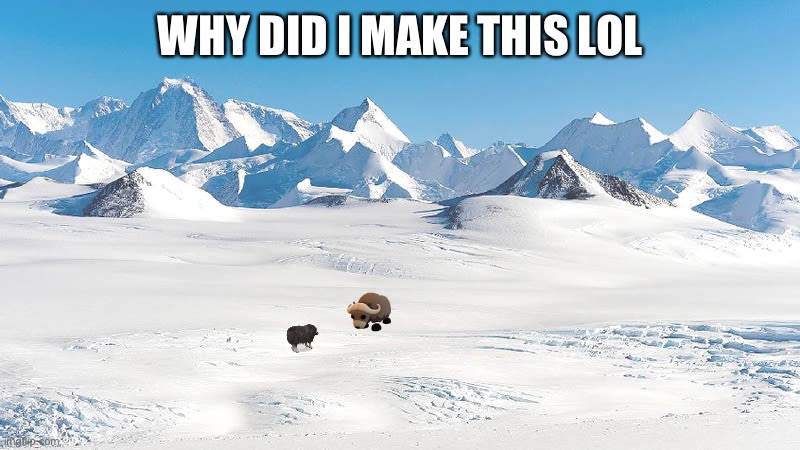 Antarctica | WHY DID I MAKE THIS LOL | image tagged in antarctica | made w/ Imgflip meme maker