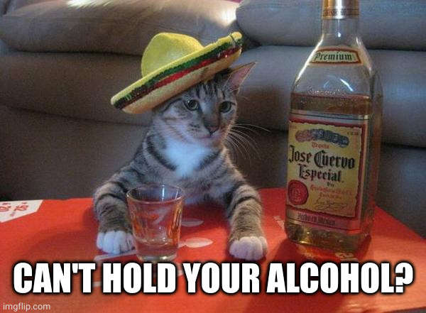 alcohol cat | CAN'T HOLD YOUR ALCOHOL? | image tagged in alcohol cat | made w/ Imgflip meme maker