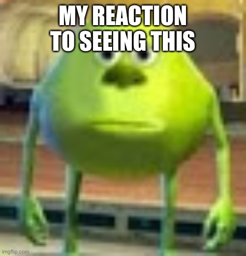 MY REACTION TO SEEING THIS | image tagged in sully wazowski | made w/ Imgflip meme maker