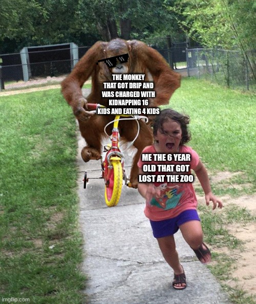 monkey drip | THE MONKEY THAT GOT DRIP AND WAS CHARGED WITH KIDNAPPING 16 KIDS AND EATING 4 KIDS; ME THE 6 YEAR OLD THAT GOT LOST AT THE ZOO | image tagged in orangutan chasing girl on a tricycle | made w/ Imgflip meme maker