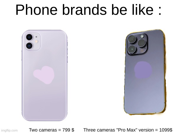 Why are we still buying these | Phone brands be like :; Two cameras = 799 $       Three cameras "Pro Max" version = 1099$ | image tagged in memes,why | made w/ Imgflip meme maker