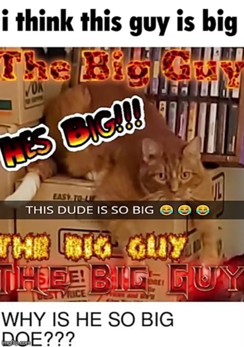 actual template shitpost | image tagged in the big guy | made w/ Imgflip meme maker