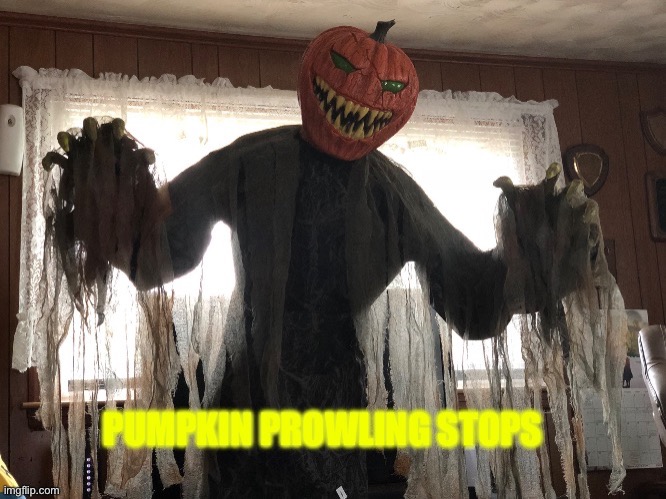 Pumpkin prowling stops | image tagged in pumpkin prowling stops | made w/ Imgflip meme maker
