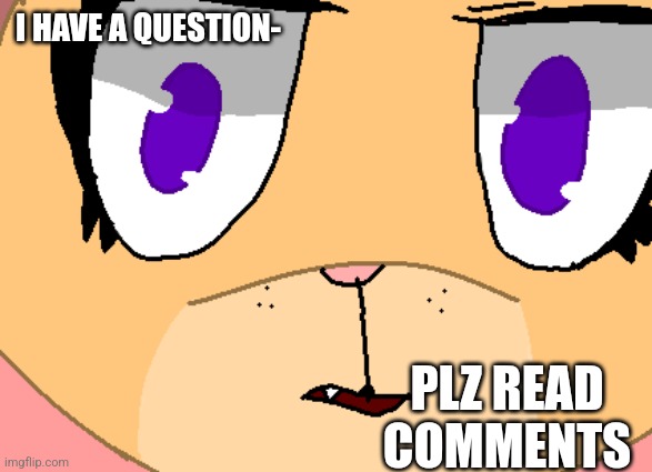 I HAVE A QUESTION-; PLZ READ COMMENTS | made w/ Imgflip meme maker