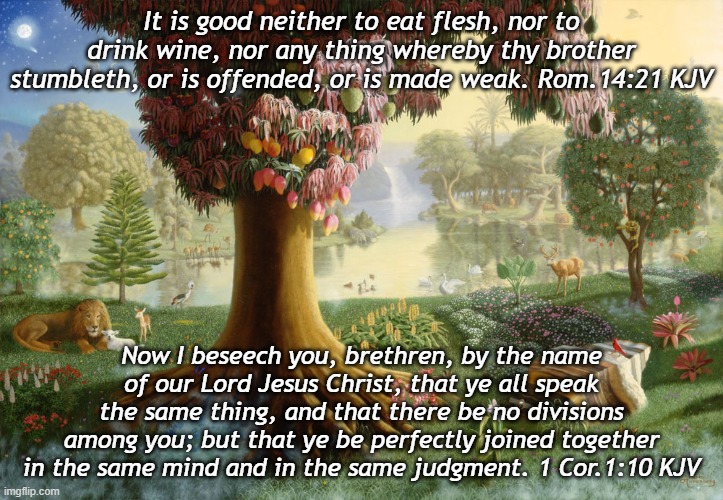 It is good neither to eat flesh, nor to drink wine, nor any thing whereby thy brother stumbleth, or is offended, or is made weak. Rom.14:21 KJV; Now I beseech you, brethren, by the name of our Lord Jesus Christ, that ye all speak the same thing, and that there be no divisions among you; but that ye be perfectly joined together in the same mind and in the same judgment. 1 Cor.1:10 KJV | made w/ Imgflip meme maker