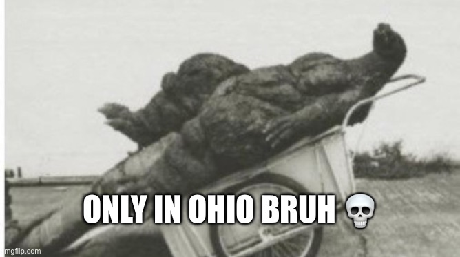 Dead godzilla | ONLY IN OHIO BRUH 💀 | image tagged in dead godzilla | made w/ Imgflip meme maker