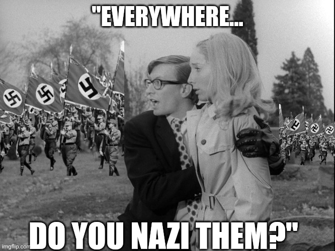 Nazi in the living head | "EVERYWHERE... DO YOU NAZI THEM?" | image tagged in stupid liberals,nazis,delusional paranoia,left right paradigm bait,division | made w/ Imgflip meme maker