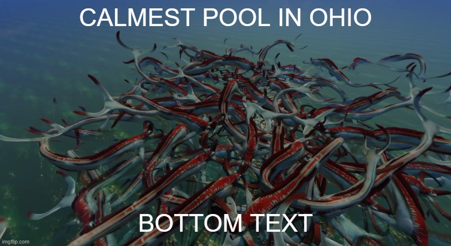 Ohio | CALMEST POOL IN OHIO; BOTTOM TEXT | image tagged in ohio,subnautica | made w/ Imgflip meme maker