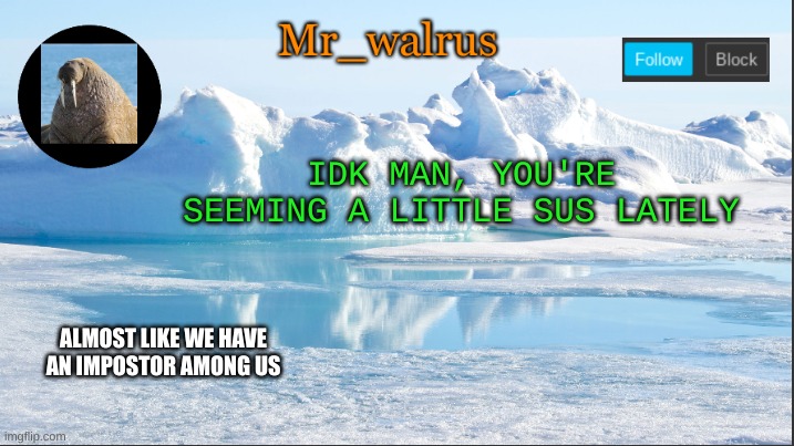 Mr_walrus | IDK MAN, YOU'RE SEEMING A LITTLE SUS LATELY; ALMOST LIKE WE HAVE AN IMPOSTOR AMONG US | image tagged in mr_walrus | made w/ Imgflip meme maker