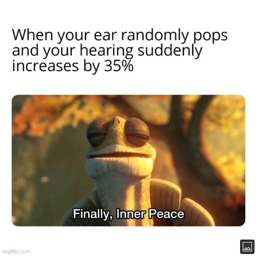 when your ear pops | image tagged in master oogway,memes | made w/ Imgflip meme maker