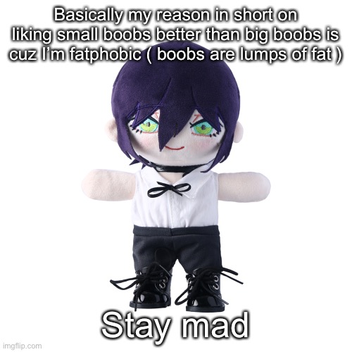 Reze plush | Basically my reason in short on liking small boobs better than big boobs is cuz I’m fatphobic ( boobs are lumps of fat ); Stay mad | image tagged in rize plush | made w/ Imgflip meme maker