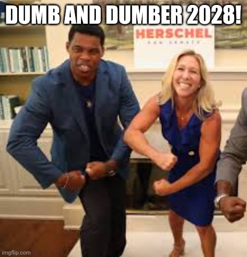 New red power couple | DUMB AND DUMBER 2028! | image tagged in conservative,republican,trump,democrat,liberal | made w/ Imgflip meme maker