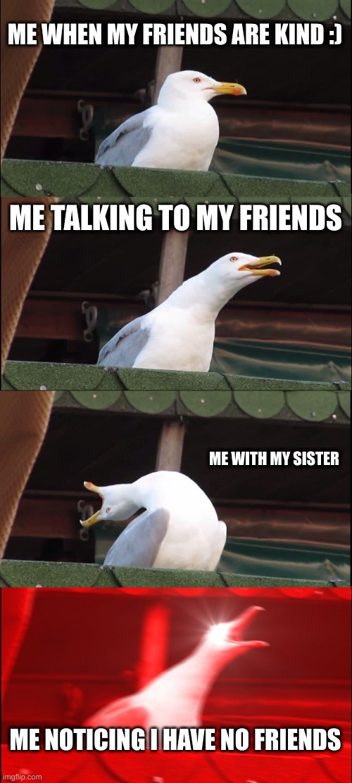 Inhaling Seagull | ME WHEN MY FRIENDS ARE KIND :); ME TALKING TO MY FRIENDS; ME WITH MY SISTER; ME NOTICING I HAVE NO FRIENDS | image tagged in memes,inhaling seagull | made w/ Imgflip meme maker