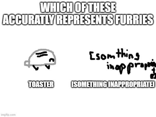 toaster, probably | WHICH OF THESE ACCURATLY REPRESENTS FURRIES; TOASTER              [SOMETHING INAPPROPRIATE] | made w/ Imgflip meme maker