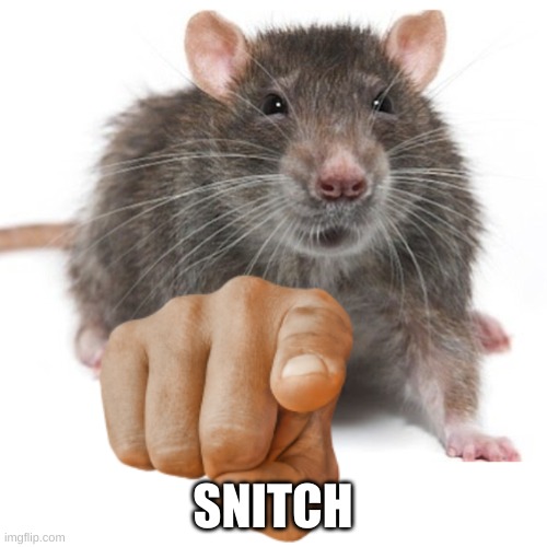 RatPointing Alternate | SNITCH | image tagged in ratpointing alternate | made w/ Imgflip meme maker