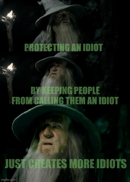 Idiot-fest 23! Get your tickets now! | PROTECTING AN IDIOT; BY KEEPING PEOPLE FROM CALLING THEM AN IDIOT; JUST CREATES MORE IDIOTS | image tagged in idiots,meanwhile on imgflip,modern problems,mods,everyone joins the battle,epic fail | made w/ Imgflip meme maker