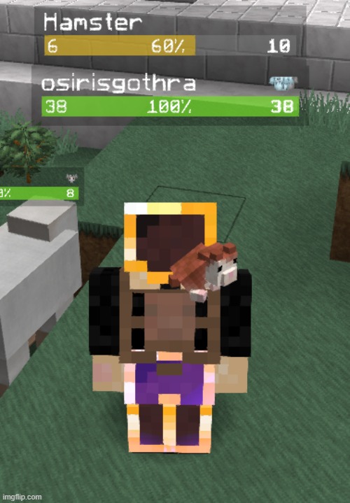 even in mc my hamster is on my shoulder... | made w/ Imgflip meme maker