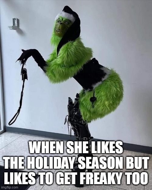 When she likes the holidays but likes to get freaky too | WHEN SHE LIKES THE HOLIDAY SEASON BUT LIKES TO GET FREAKY TOO | image tagged in grinch,funny,happy holidays,freaky,christmas,holidays | made w/ Imgflip meme maker