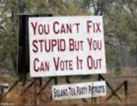 You Can't Fix Stupid But You Can Vote It Out | image tagged in you can't fix stupid but you can vote it out | made w/ Imgflip meme maker