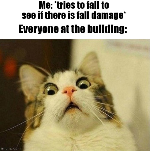 a | Me: *tries to fall to see if there is fall damage*; Everyone at the building: | image tagged in memes,scared cat,what | made w/ Imgflip meme maker