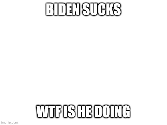 Blank White Template | BIDEN SUCKS; WTF IS HE DOING | image tagged in blank white template | made w/ Imgflip meme maker