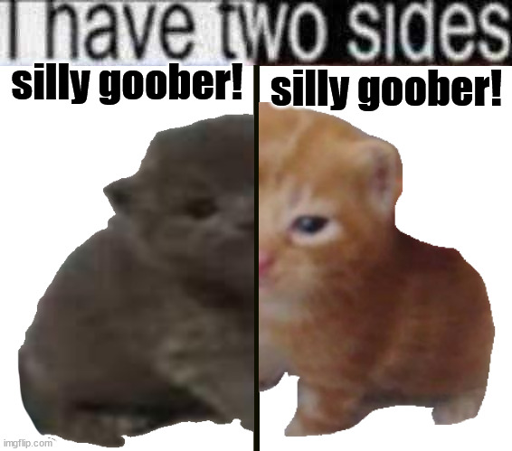 silly goober! silly goober! | made w/ Imgflip meme maker