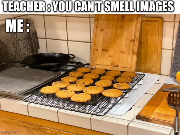 Cookes | TEACHER : YOU CAN’T SMELL IMAGES; ME : | image tagged in cookies | made w/ Imgflip meme maker