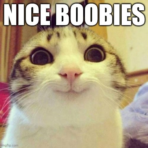 Smiling Cat Meme | NICE BOOBIES | image tagged in memes,smiling cat | made w/ Imgflip meme maker