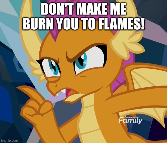 DON'T MAKE ME BURN YOU TO FLAMES! | made w/ Imgflip meme maker