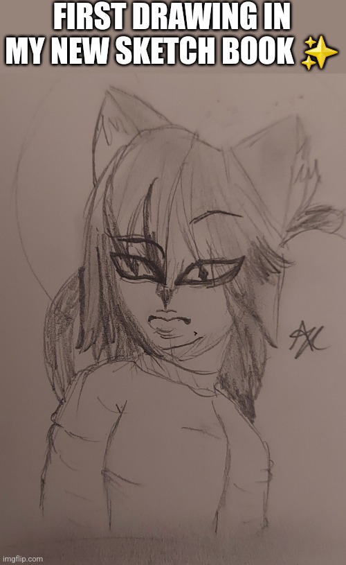 Why did I make this ? | FIRST DRAWING IN MY NEW SKETCH BOOK ✨️ | made w/ Imgflip meme maker