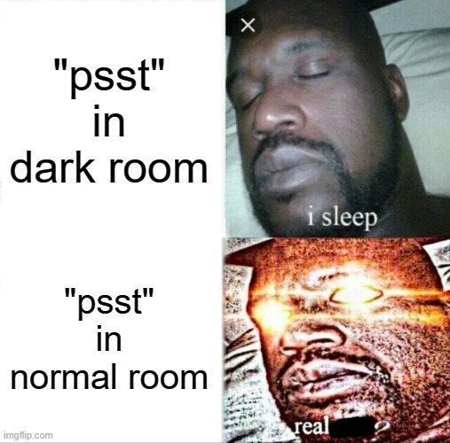 ahaahahahhahahahaahhahahahahaahha | "psst" in dark room; "psst" in normal room | image tagged in memes,sleeping shaq | made w/ Imgflip meme maker