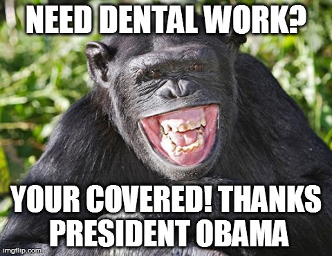 NEED DENTAL WORK? YOUR COVERED!THANKS PRESIDENT OBAMA | image tagged in obamacare | made w/ Imgflip meme maker