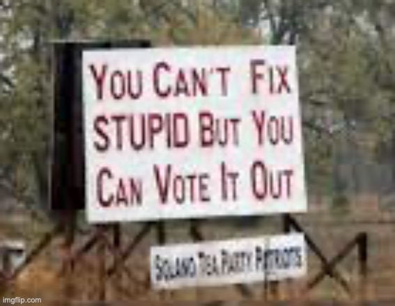 "You Can't Fix Stupid But You Can Vote It Out" | image tagged in you can't fix stupid but you can vote it out | made w/ Imgflip meme maker