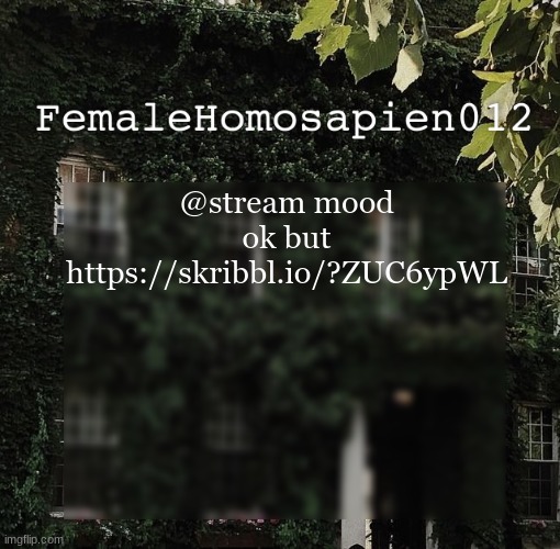 FemaleHomosapien012 | @stream mood
ok but https://skribbl.io/?ZUC6ypWL | image tagged in femalehomosapien012 | made w/ Imgflip meme maker