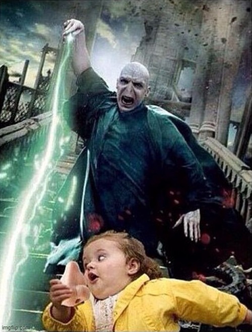 image tagged in memes,funny,voldemort,run | made w/ Imgflip meme maker