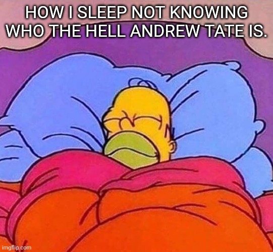 Homer Simpson sleeping peacefully | HOW I SLEEP NOT KNOWING WHO THE HELL ANDREW TATE IS. | image tagged in homer simpson sleeping peacefully | made w/ Imgflip meme maker