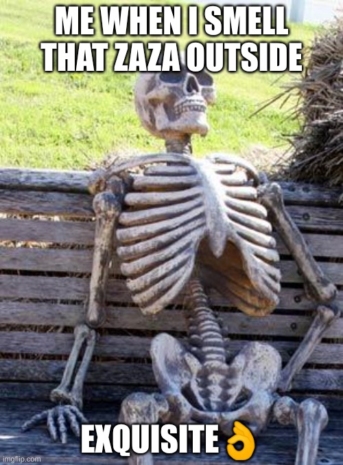 Waiting Skeleton | ME WHEN I SMELL THAT ZAZA OUTSIDE; EXQUISITE👌 | image tagged in memes,waiting skeleton | made w/ Imgflip meme maker