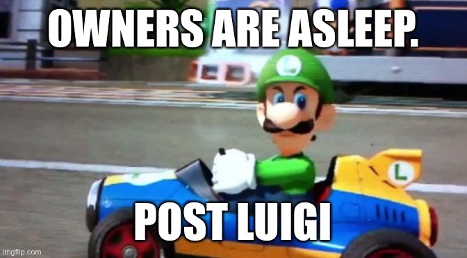 Luigi Death Stare | OWNERS ARE ASLEEP. POST LUIGI | image tagged in luigi death stare,post luigi | made w/ Imgflip meme maker