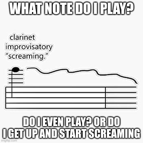 how do i play this? | WHAT NOTE DO I PLAY? DO I EVEN PLAY? OR DO I GET UP AND START SCREAMING | image tagged in clarinet improvisary screaming | made w/ Imgflip meme maker