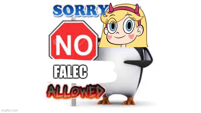 To Falec Followers | FALEC | image tagged in no anime allowed,memes,svtfoe,star vs the forces of evil,falec sucks,falec | made w/ Imgflip meme maker