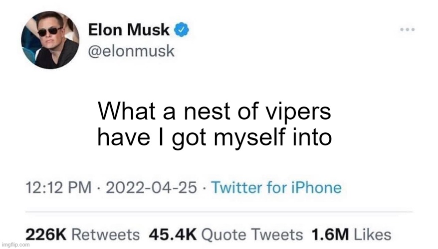 Elon Musk Buying Twitter | What a nest of vipers have I got myself into | image tagged in elon musk buying twitter | made w/ Imgflip meme maker