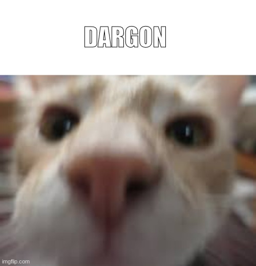 DARGON | image tagged in blank white template | made w/ Imgflip meme maker