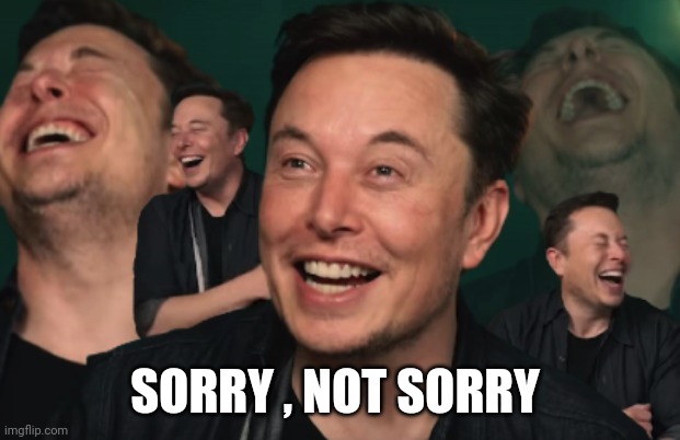 Elon Musk Laughing | SORRY , NOT SORRY | image tagged in elon musk laughing | made w/ Imgflip meme maker