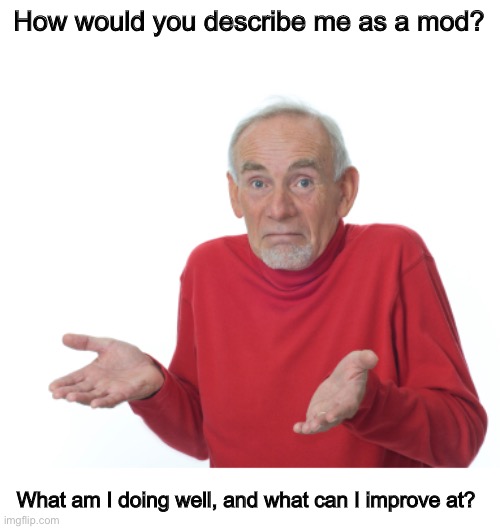 Be honest! ? | How would you describe me as a mod? What am I doing well, and what can I improve at? | image tagged in guess i'll die | made w/ Imgflip meme maker